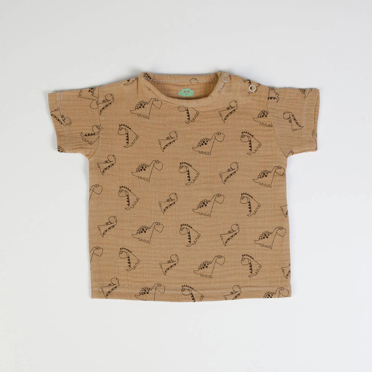 Dinosaurs summer outfit