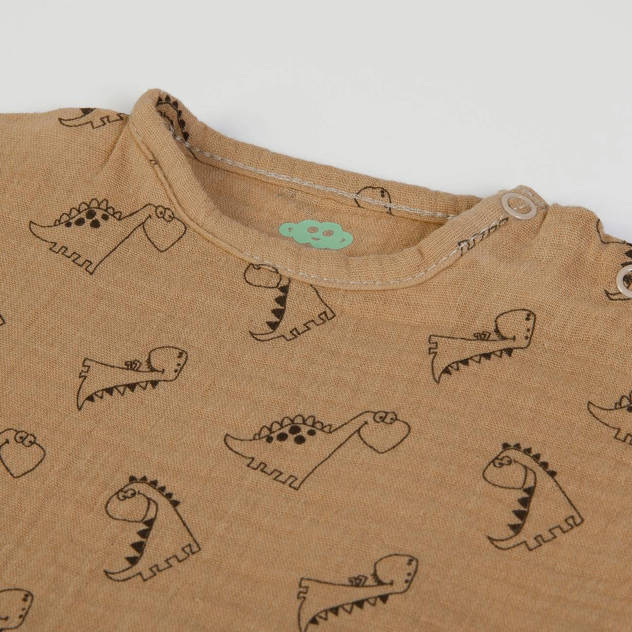 Dinosaurs summer outfit