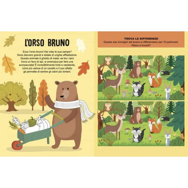 Mega Box: La foresta Magica - Hebi